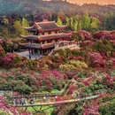 毕节旅游 缩略图 3
