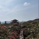 遵义旅游 缩略图 1