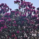 遵义旅游 缩略图 10