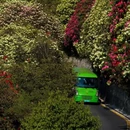 贵阳旅游 缩略图 1