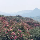 贵阳旅游 缩略图 4