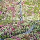 贵阳旅游 缩略图 2