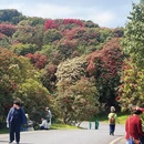贵阳旅游 缩略图 5