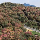 毕节旅游 缩略图 1