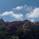 贵阳旅游 缩略图 6