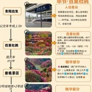 毕节旅游 缩略图 5