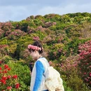 贵阳旅游 缩略图 1
