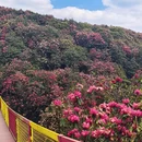 贵阳旅游 缩略图 12