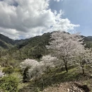 杭州旅游 缩略图 3