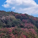 贵阳旅游 缩略图 13