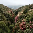 遵义旅游 缩略图 10