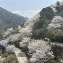 杭州旅游 缩略图 5