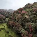 遵义旅游 缩略图 11