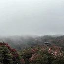 遵义旅游 缩略图 12