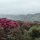 遵义旅游 缩略图 2