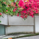 重庆旅游 缩略图 6