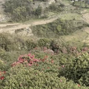 遵义旅游 缩略图 3