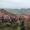 遵义旅游 缩略图 3