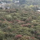 遵义旅游 缩略图 5