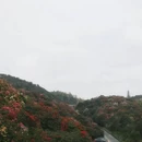 遵义旅游 缩略图 6