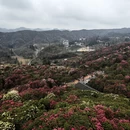 遵义旅游 缩略图 6