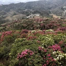 遵义旅游 缩略图 4