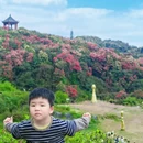 贵阳旅游 缩略图 7
