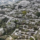 杭州旅游 缩略图 1