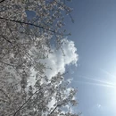 杭州旅游 缩略图 2