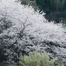 宁波旅游 缩略图 2
