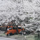 宁波旅游 缩略图 4