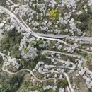 杭州旅游 缩略图 9