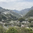 杭州旅游 缩略图 8