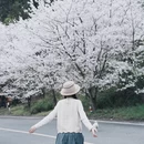 宁波旅游 缩略图 3