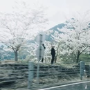 宁波旅游 缩略图 5