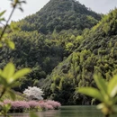 宁波旅游 缩略图 2