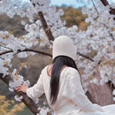 宁波旅游 缩略图 4