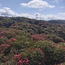 毕节旅游 缩略图 5