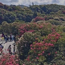 毕节旅游 缩略图 7