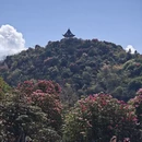 毕节旅游 缩略图 8