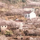 宁波旅游 缩略图 1