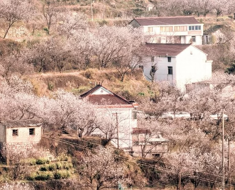 宁波旅游 1