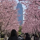 宁波旅游 缩略图 1