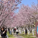 宁波旅游 缩略图 3