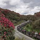 毕节旅游 缩略图 11