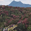 毕节旅游 缩略图 10