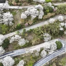 杭州旅游 缩略图 10
