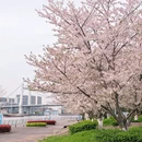 宁波旅游 缩略图 3