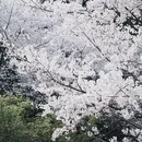 宁波旅游 缩略图 6