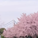 宁波旅游 缩略图 2